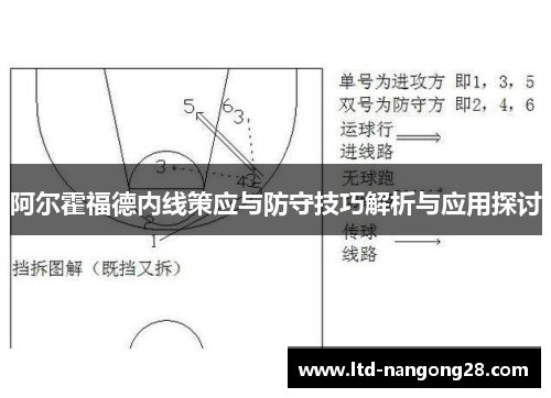 阿尔霍福德内线策应与防守技巧解析与应用探讨