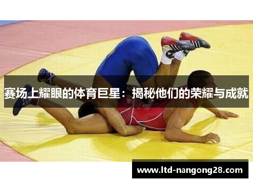赛场上耀眼的体育巨星：揭秘他们的荣耀与成就