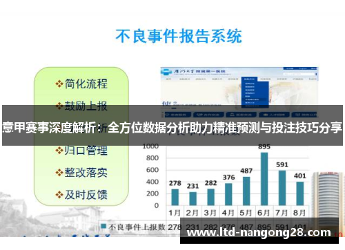 意甲赛事深度解析：全方位数据分析助力精准预测与投注技巧分享