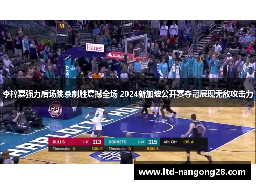 李梓嘉强力后场跳杀制胜震撼全场 2024新加坡公开赛夺冠展现无敌攻击力