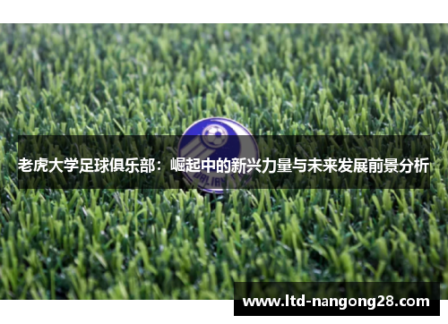 老虎大学足球俱乐部：崛起中的新兴力量与未来发展前景分析