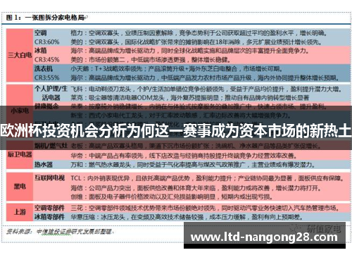 欧洲杯投资机会分析为何这一赛事成为资本市场的新热土