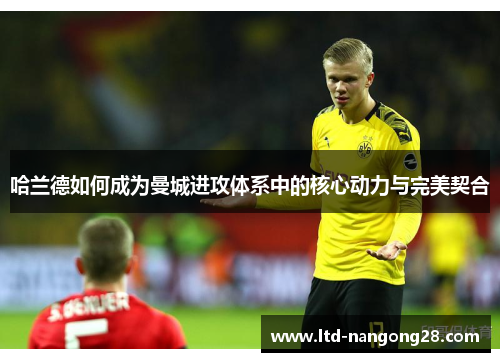 哈兰德如何成为曼城进攻体系中的核心动力与完美契合