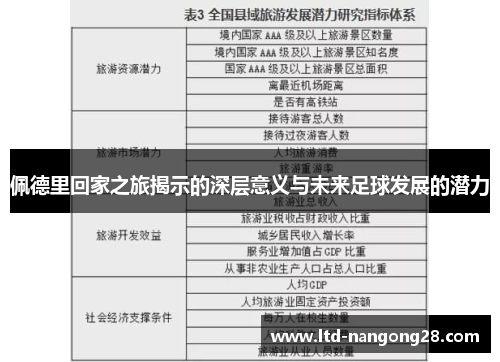 佩德里回家之旅揭示的深层意义与未来足球发展的潜力