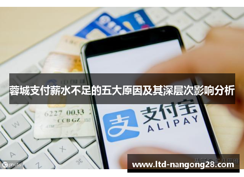 蓉城支付薪水不足的五大原因及其深层次影响分析