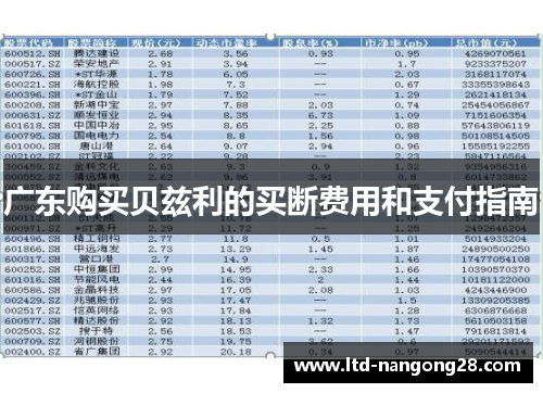 广东购买贝兹利的买断费用和支付指南