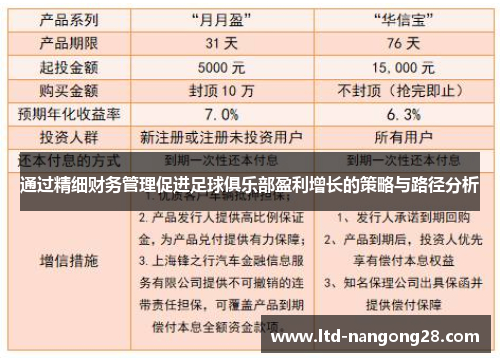 通过精细财务管理促进足球俱乐部盈利增长的策略与路径分析