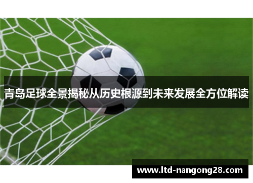 青岛足球全景揭秘从历史根源到未来发展全方位解读
